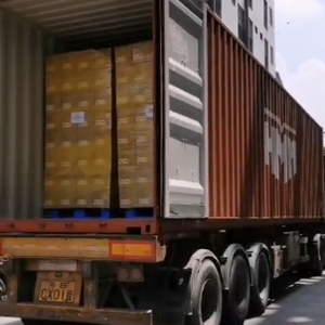 loading goods Pet Trainer