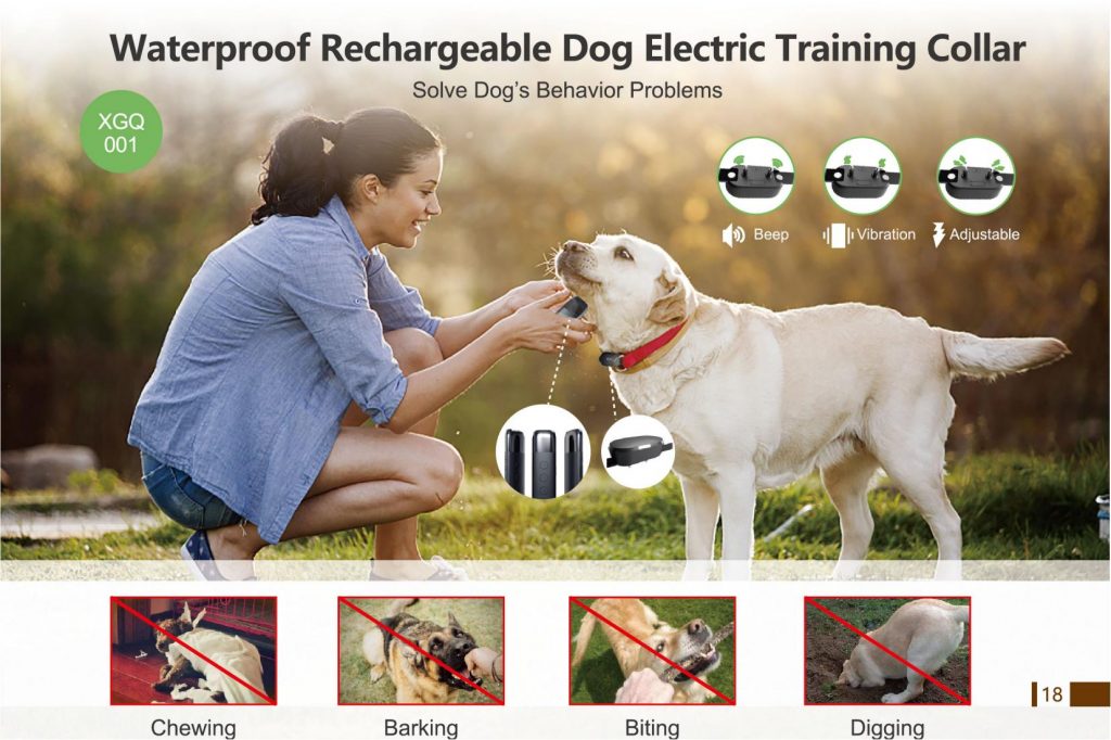 产品手册 12 30 21 Pet Trainer