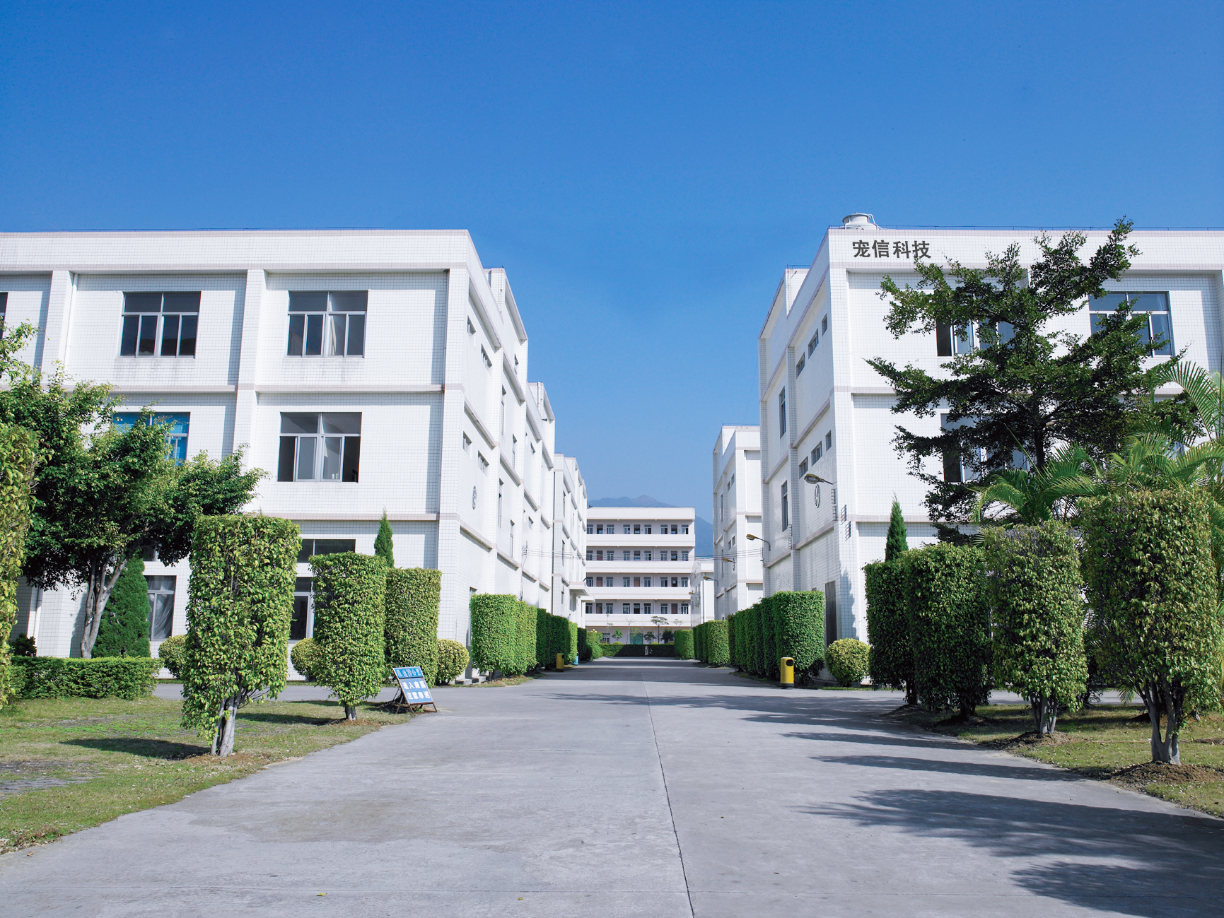 Petrust Company Home