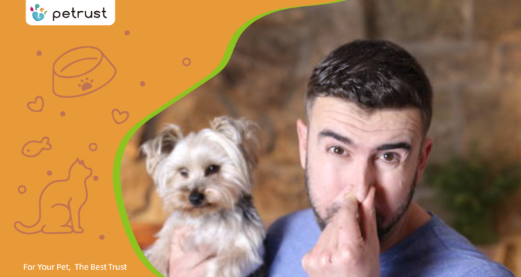 How Do I Stop My Cats Litter Box from Smelling How Do I Stop My Cat’s Litter Box from Smelling?
