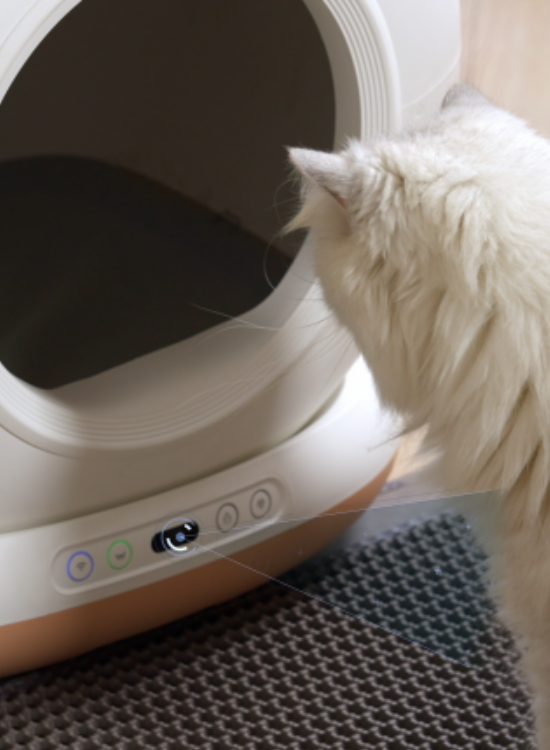Infrared Sensor Smart Cat Litter Box