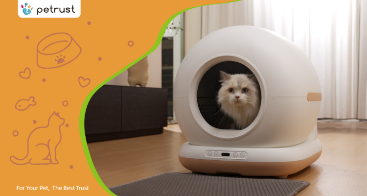 LitterMaster Tikpaws Blog