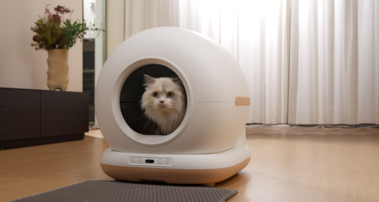 New Self Cleaning Litter Box Makes Cat Care Simpler Tikpaws Shows New Pet Products at MEGAZOO 2024