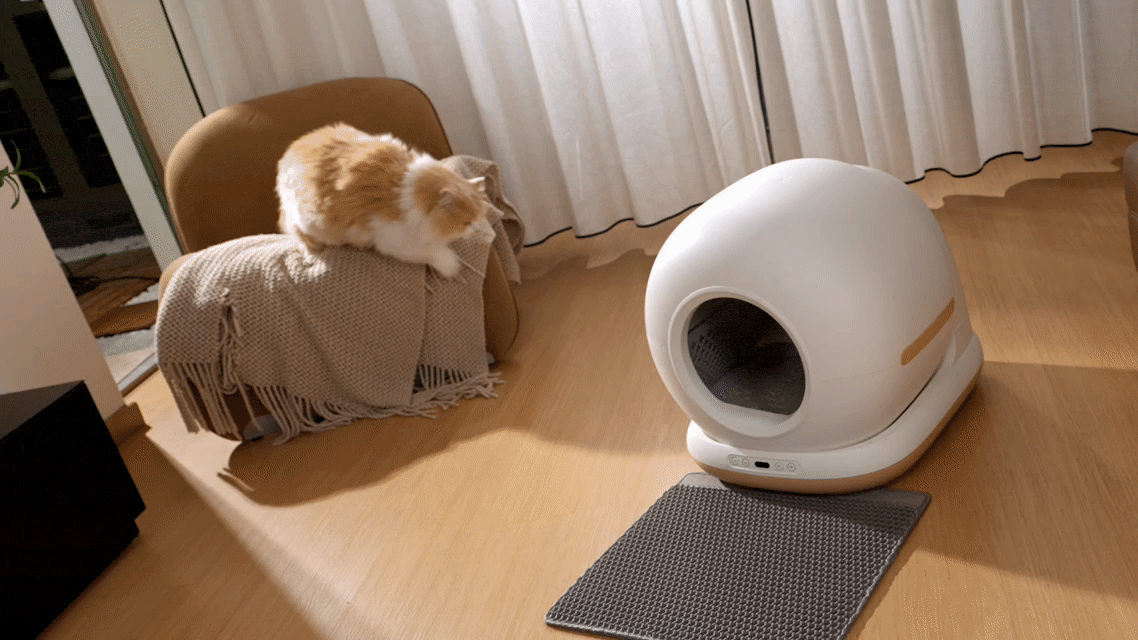 auto cleaning Smart Cat Litter Box